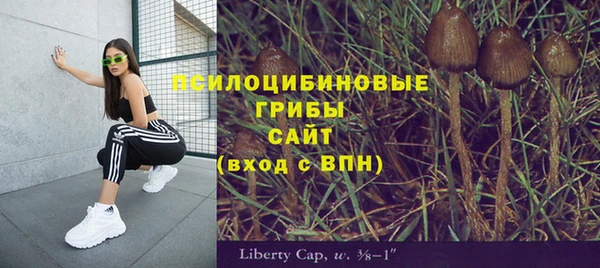 гидропоника Аркадак