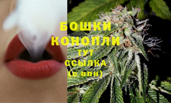 гидропоника Аркадак
