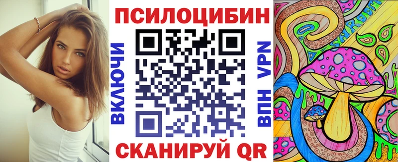 купить закладку  mega ссылка  Псилоцибиновые грибы GOLDEN TEACHER  Чекалин 